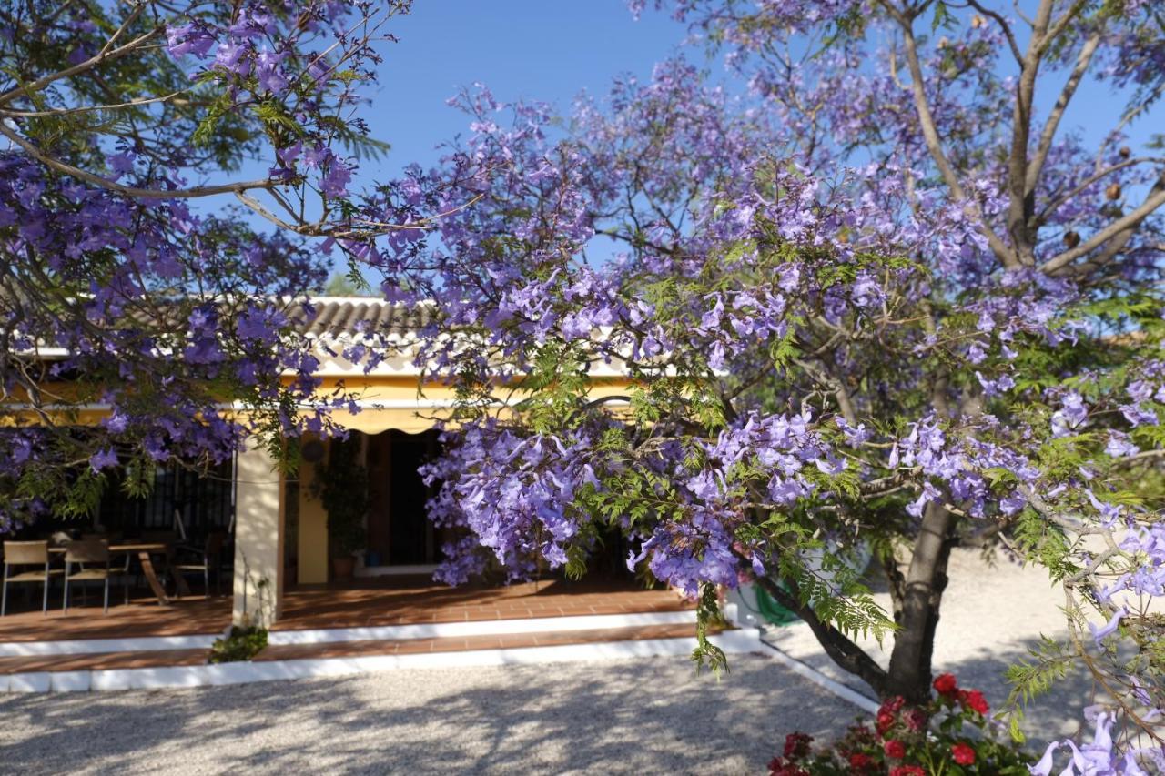 Finca Gordo Ríogordo Kültér fotó