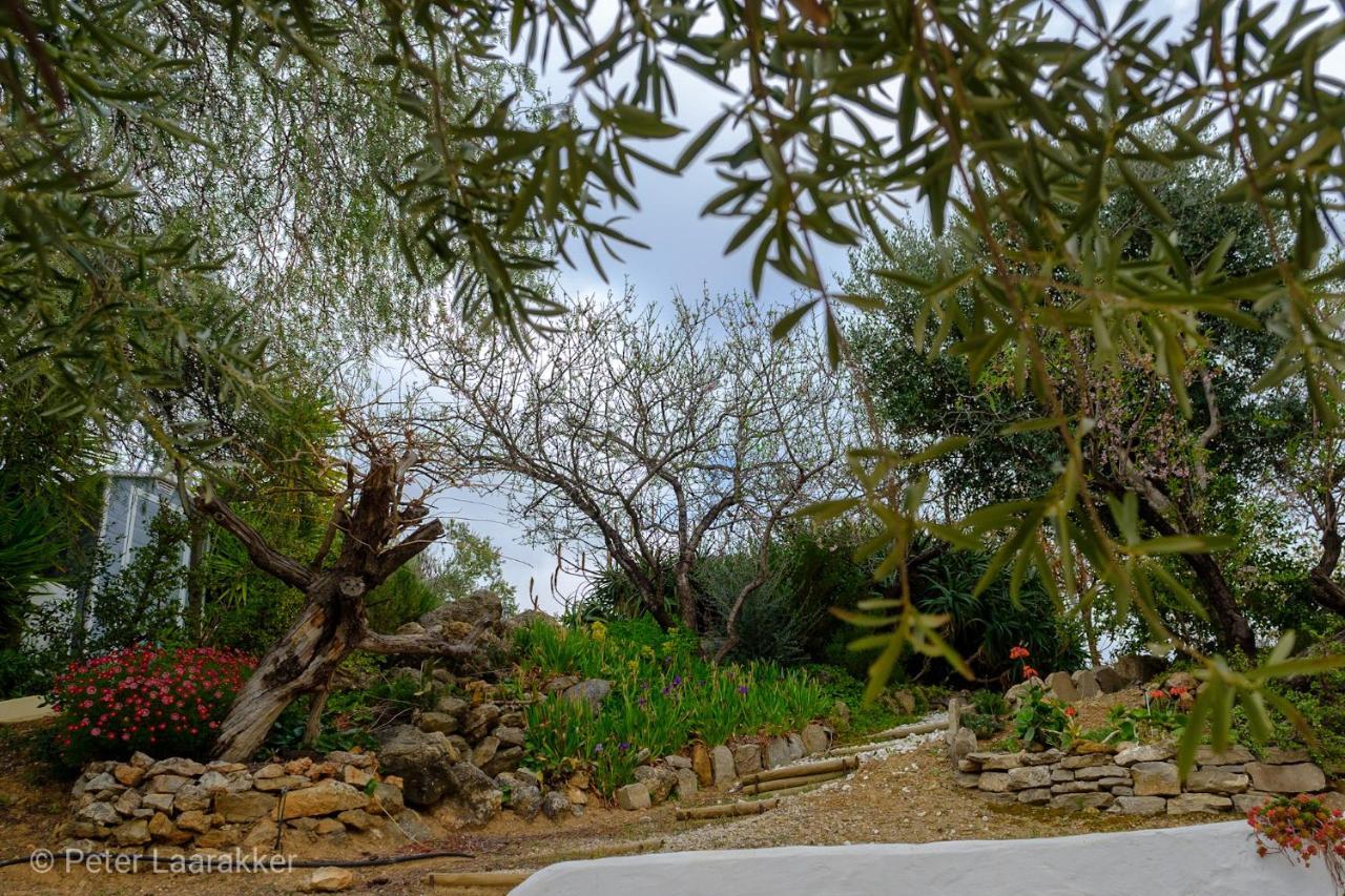 Finca Gordo Ríogordo Kültér fotó